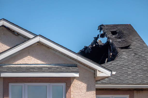Top rated local Fire Board Up specialists in Wilson, WI